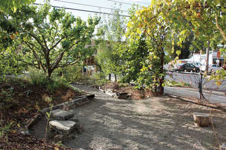 Planning Your Community Food Forest